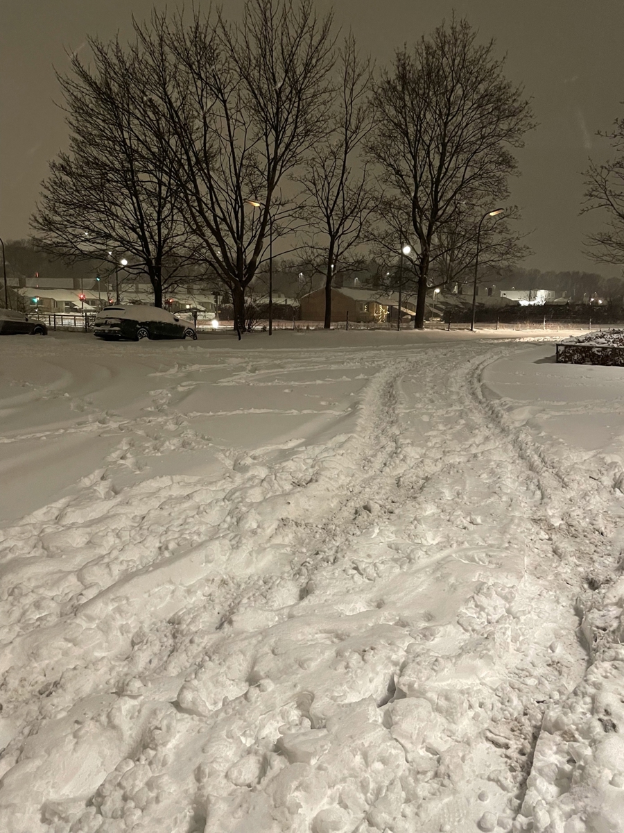 Snekaos på parkeringspladsen