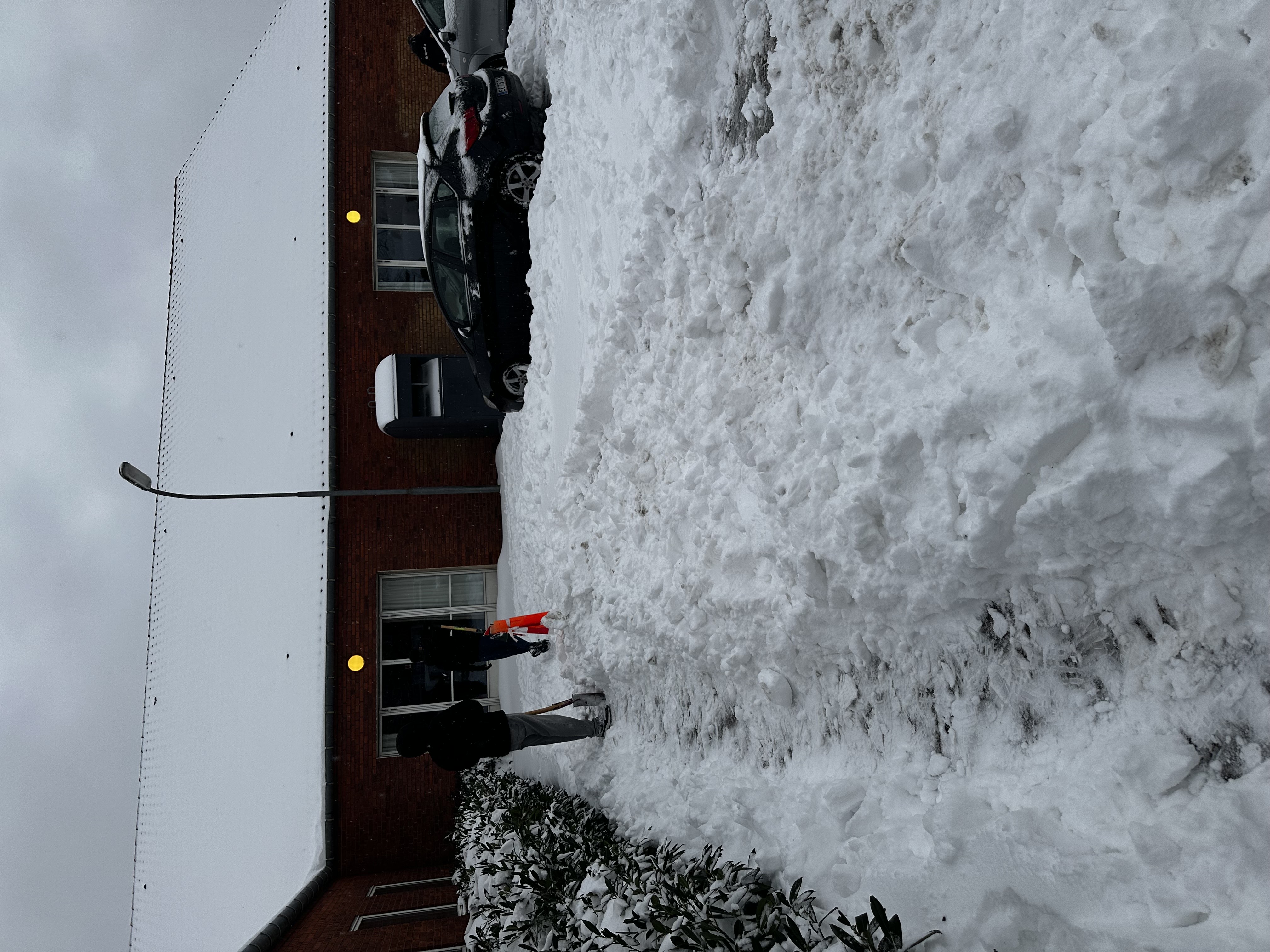 Elever der skovler sne